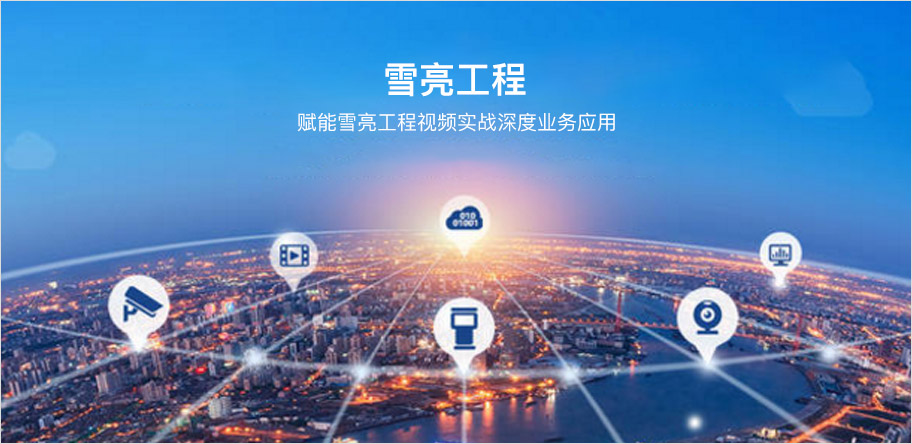 雪亮工程 雪亮工程